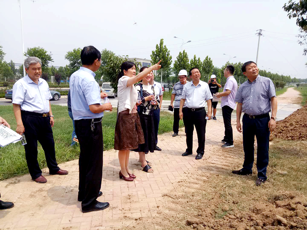 市、區(qū)領(lǐng)導參觀泰投創(chuàng)新生態(tài)社區(qū)科技園項目